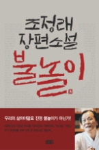 불놀이 - 조정래장편소설